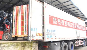 都江堰獼猴桃協(xié)會牽手物流快遞行業(yè)的 國家隊